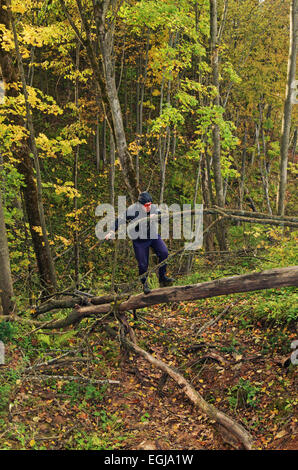 Wilde Herbstwald mit gelben Laub und der Mann geht auf einen Stamm des Baumes liegen. Stockfoto