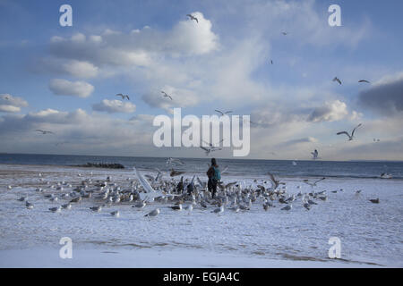 Man füttert Möwen am Strand von Coney Island an einem winterlichen windigen Tag, Brooklyn, New York. Stockfoto