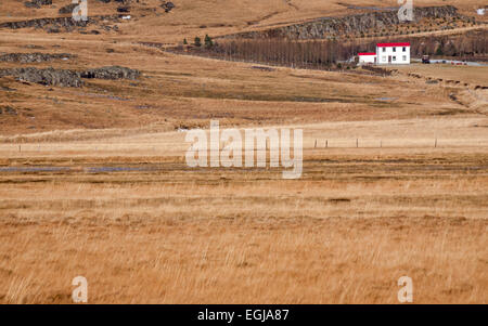 Bauernhaus in Hofsdalur, East Island im Februar Stockfoto