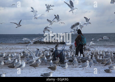 Man füttert Möwen am Strand von Coney Island an einem winterlichen windigen Tag, Brooklyn, New York. Stockfoto