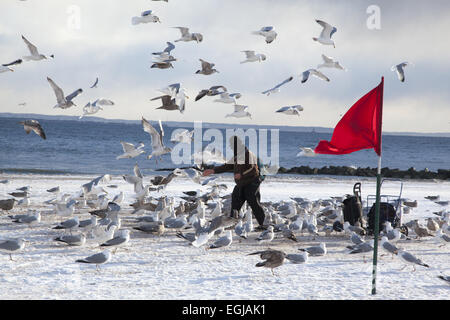 Man füttert Möwen am Strand von Coney Island an einem winterlichen windigen Tag, Brooklyn, New York. Stockfoto