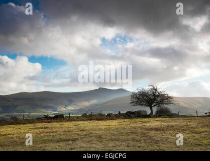 Brecon Beacons Berge von Pen Y Fan und Mais Du in Wales hinter Sillhouetted Baum, mit Sonne und stürmischen Himmel. Stockfoto