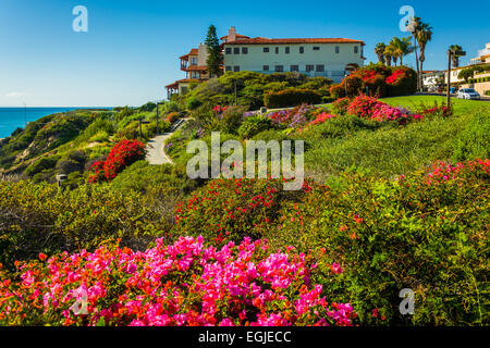 Bunte Blumen und Aussicht auf großes Haus am Calafia Park in San Clemente, Kalifornien. Stockfoto