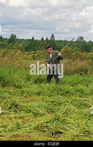 Am Dorf Garten Rasen zu mähen. Stockfoto