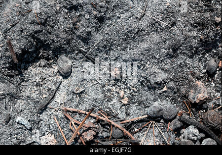 Asche Kohlen verbranntem Holz Hintergrund Stockfoto