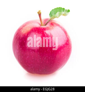 Apfel-Blatt isoliert auf weißem Hintergrund Stockfoto