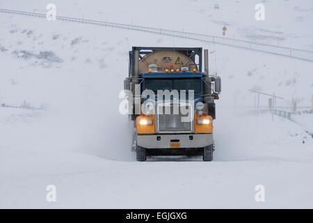 Transport LKW auf dem Dalton Highway (Nordhang Haul Road) in Richtung Prudhoe Bay, Alaska, USA im Oktober Stockfoto