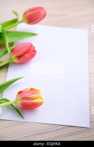 drei rote Tulpen mit Hinweis Papier Textfreiraum Stockfoto