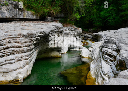 Taugl Fluss Tauglgries Naturschutzgebiet, Bad Vigaun, Bezirk Hallein, Salzburg, Österreich Stockfoto