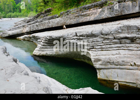 Taugl Fluss Tauglgries Naturschutzgebiet, Bad Vigaun, Bezirk Hallein, Salzburg, Österreich Stockfoto