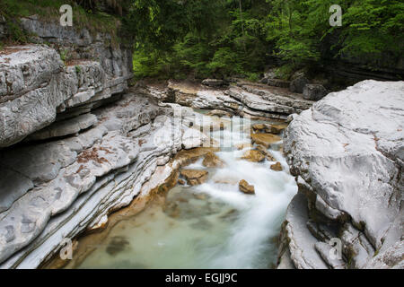 Taugl Fluss Tauglgries Naturschutzgebiet, Bad Vigaun, Bezirk Hallein, Salzburg, Österreich Stockfoto