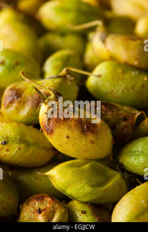 Bio gebratene frische Kichererbsen in eine Schüssel geben Stockfoto