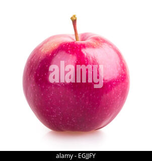 Apfel-Blatt isoliert auf weißem Hintergrund Stockfoto
