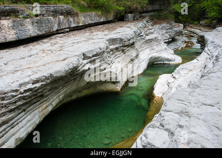 Taugl Fluss Tauglgries Naturschutzgebiet, Bad Vigaun, Bezirk Hallein, Salzburg, Österreich Stockfoto