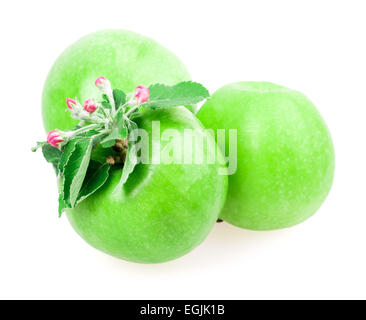 Apple und Apfelblüte isoliert auf weißem Hintergrund Stockfoto