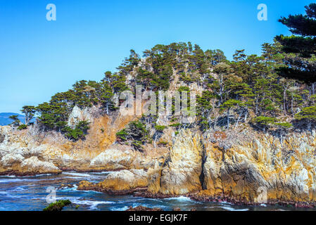 Pinien und felsigen Küste. Point Lobos State Reserve, Monterey County, Kalifornien, USA. Stockfoto