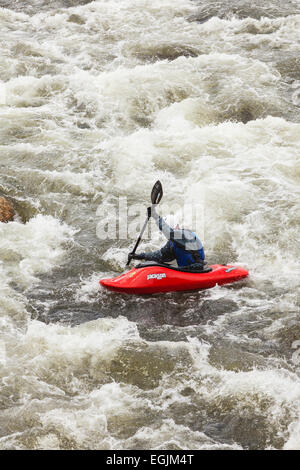 Männliche Kajakfahrer Navigation Stromschnellen auf dem Arkansas River in Colorado im Frühling Stockfoto