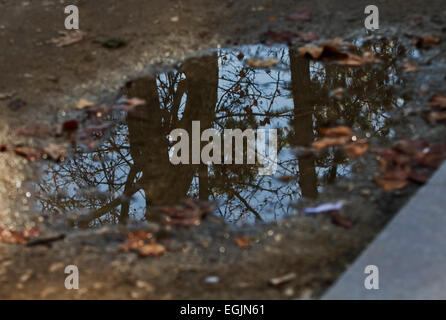 Reflexion in der Pfütze. Stockfoto