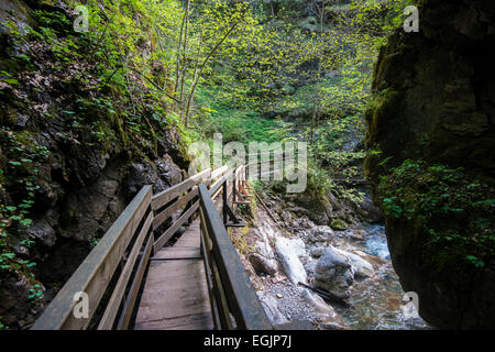 Promenade in die Seisenbergklamm, Weißbach, Saalach, Lofer, Zell am See Bezirk, Salzburg, Österreich Stockfoto