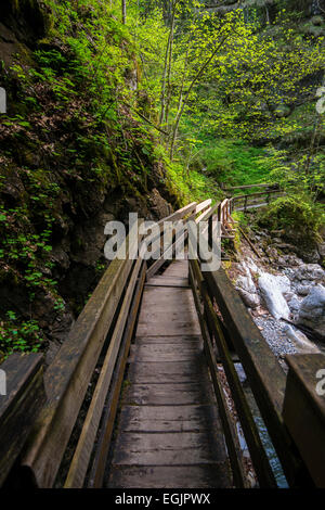 Promenade in die Seisenbergklamm, Weißbach, Saalach, Lofer, Zell am See Bezirk, Salzburg, Österreich Stockfoto