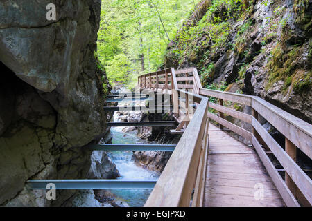 Promenade in die Seisenbergklamm, Weißbach, Saalach, Lofer, Zell am See Bezirk, Salzburg, Österreich Stockfoto