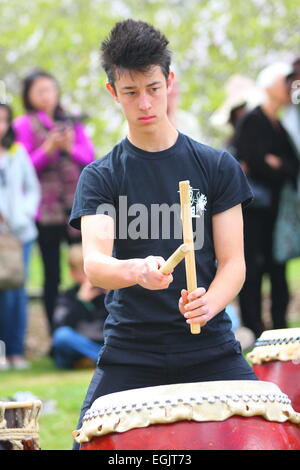 Japanische Trommler Hanami Festival, Melbourne, Australien Stockfoto