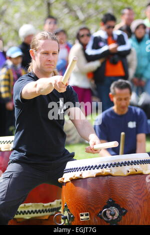 Kaukasischen Mann spielt eine Trommel Hanami Festival, Melbourne, Australien Stockfoto