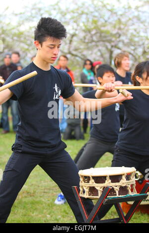 Japanische Trommler Hanami Festival, Melbourne, Australien Stockfoto