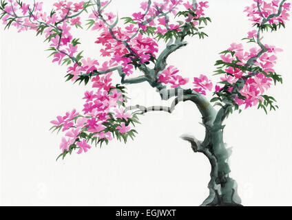 Baum in Blüte mit rosa Blumen Aquarell. Asiatischen Stil. Stockfoto