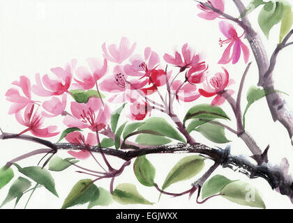 Baum in Blüte mit rosa Blumen Aquarell. Asiatischen Stil. Stockfoto