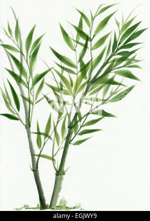Junge grüne Bambus original Aquarell. Asiatischen Stil. Stockfoto