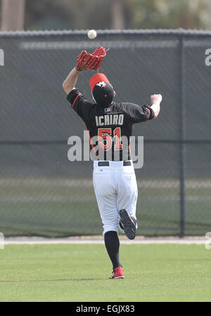 Jupiter, Florida, USA. 25. Februar 2014. Ichiro Suzuki (Marlins) MLB: Ichiro Suzuki von Miami Marlins fängt einen Ball während der Miami Marlins Frühling Trainingslager in Jupiter, Florida, Vereinigte Staaten von Amerika. © AFLO/Alamy Live-Nachrichten Stockfoto