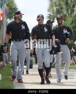 Jupiter, Florida, USA. 24. Februar 2014. Michael Morse, Ichiro Suzuki (Marlins) MLB: Miami Marlins Frühling Trainingslager in Jupiter, Florida, Vereinigte Staaten von Amerika. © AFLO/Alamy Live-Nachrichten Stockfoto