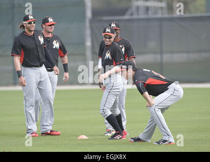 Jupiter, Florida, USA. 24. Februar 2014. Michael Morse, Ichiro Suzuki, Christian Yelich (Marlins) MLB: Miami Marlins Frühling Trainingslager in Jupiter, Florida, Vereinigte Staaten von Amerika. © AFLO/Alamy Live-Nachrichten Stockfoto