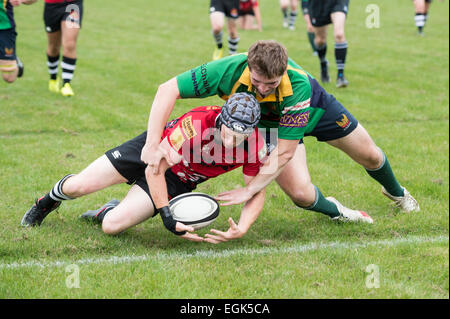 Sherborne Spieler (Scrum Kappe) verhindert, dass North Dorset RFC Spieler scoring versuchen auf Torlinie. Stockfoto