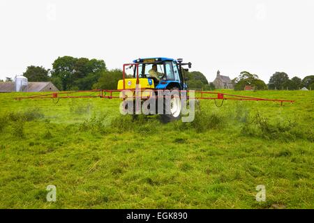 T90 New Holland Traktor mit Spritze Spritzen Disteln. Stockfoto