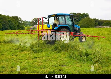 T90 New Holland Traktor mit Spritze Spritzen Disteln. Stockfoto