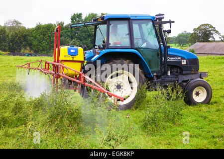 T90 New Holland Traktor mit Spritze Spritzen Disteln. Stockfoto