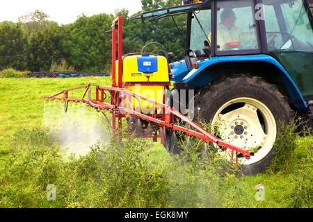 T90 New Holland Traktor mit Spritze Spritzen Disteln. Stockfoto