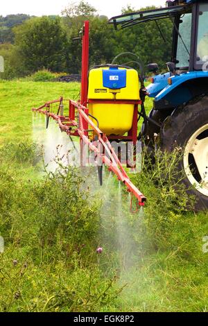 T90 New Holland Traktor mit Spritze Spritzen Disteln. Stockfoto