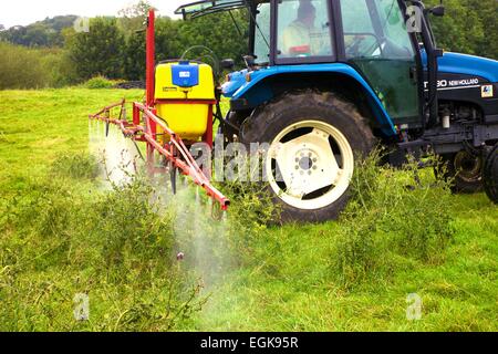 T90 New Holland Traktor mit Spritze Spritzen Disteln. Stockfoto