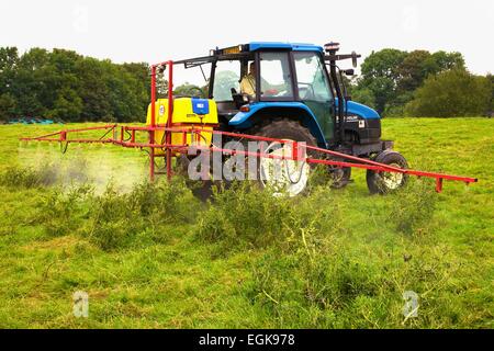 T90 New Holland Traktor mit Spritze Spritzen Disteln. Stockfoto