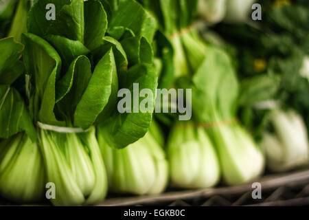 Trauben von frischen Bok Choy auf dem Display. Stockfoto