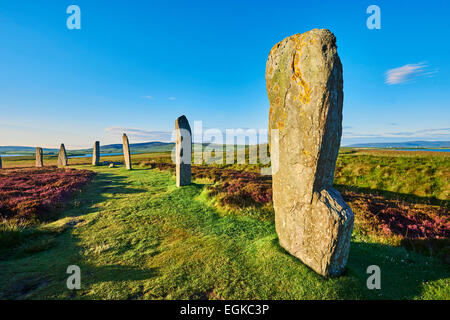 Ring of Brodgar, 2.500 bis ca. 2.000 v. Chr., eine neolithische Steinkreis oder Henge ein UNESCO-Weltkulturerbe, Orkney, Schottland Stockfoto