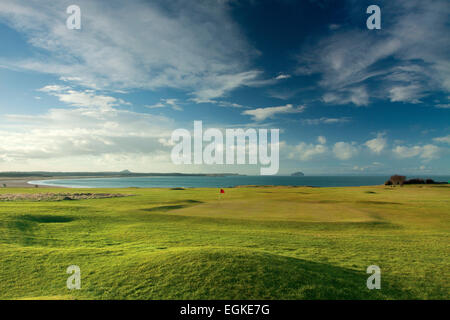 Bass Rock und North Berwick Rechtswissenschaften Winterfield Golfplatz, Dunbar, East Lothian Stockfoto