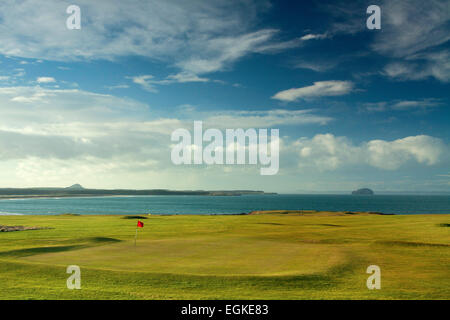 Bass Rock und North Berwick Rechtswissenschaften Winterfield Golfplatz, Dunbar, East Lothian Stockfoto