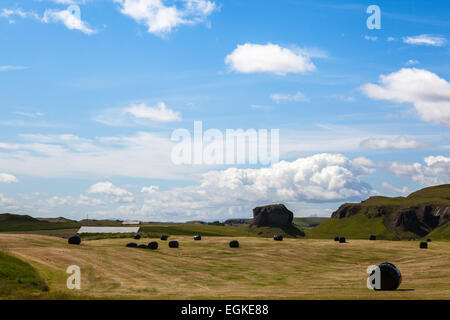 Heu-Ballen (oder Heu Rollen) verpackt in schwarzem Kunststoff auf einem Feld im Süden Islands in der Nähe von Kirkjubaejarklaustur. Stockfoto
