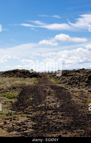 Eine Schotterstraße durch Lavafeld im Süden Islands. Stockfoto