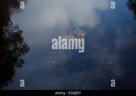 Münzen in einem Fluss im Glenveagh National Park, Donegal, Irland Stockfoto