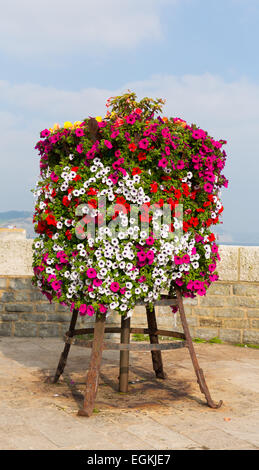 Bunte Anzeige von rosa weiße, rote und gelbe Petunien auf einem Ständer am Meer an einem Sommertag Stockfoto